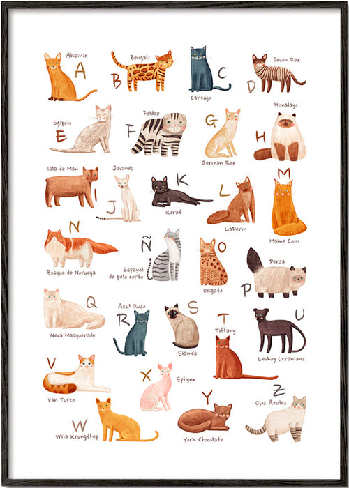 Kinderposter Geïllustreerd kattenalfabet