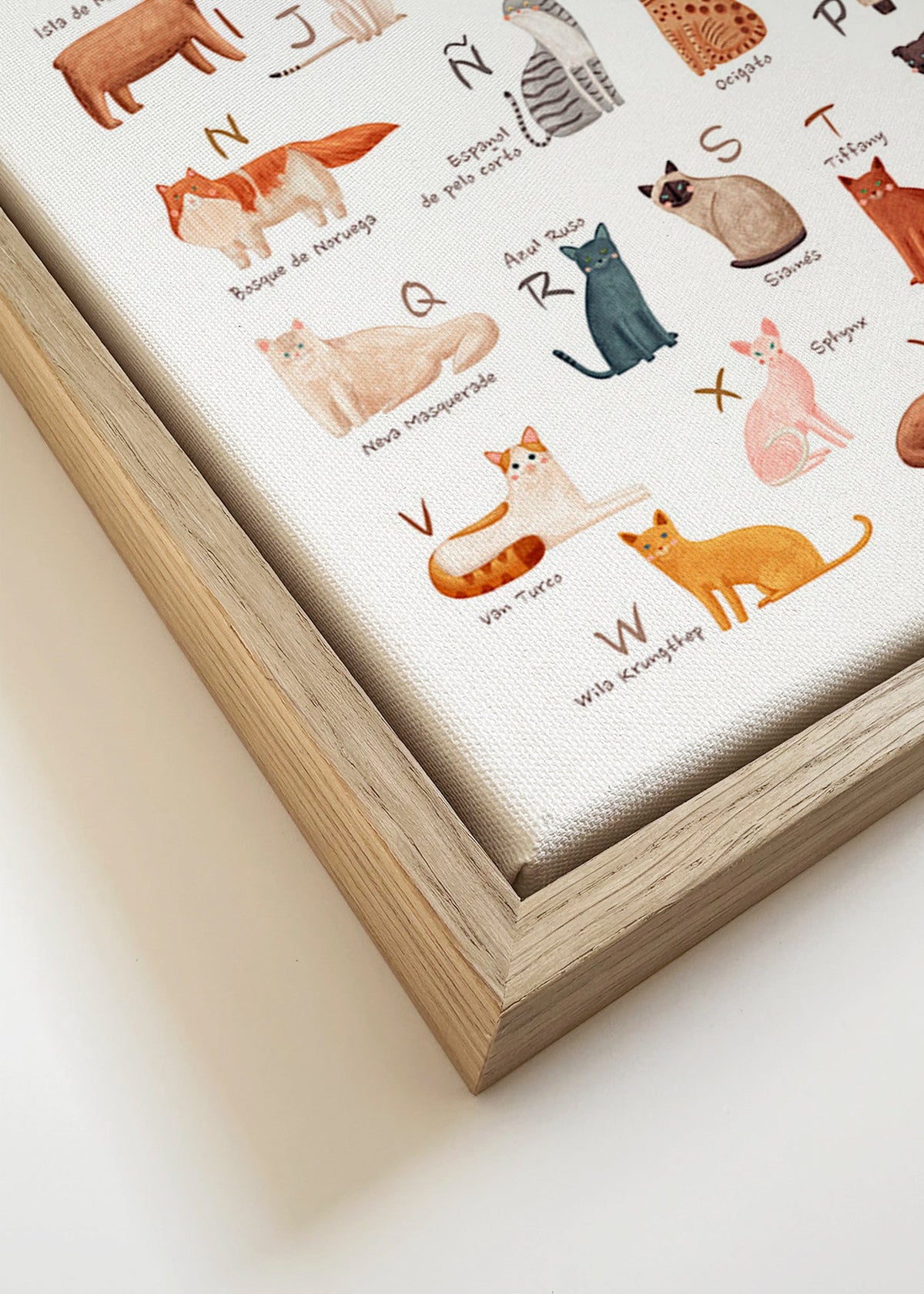 Kinderposter Geïllustreerd kattenalfabet
