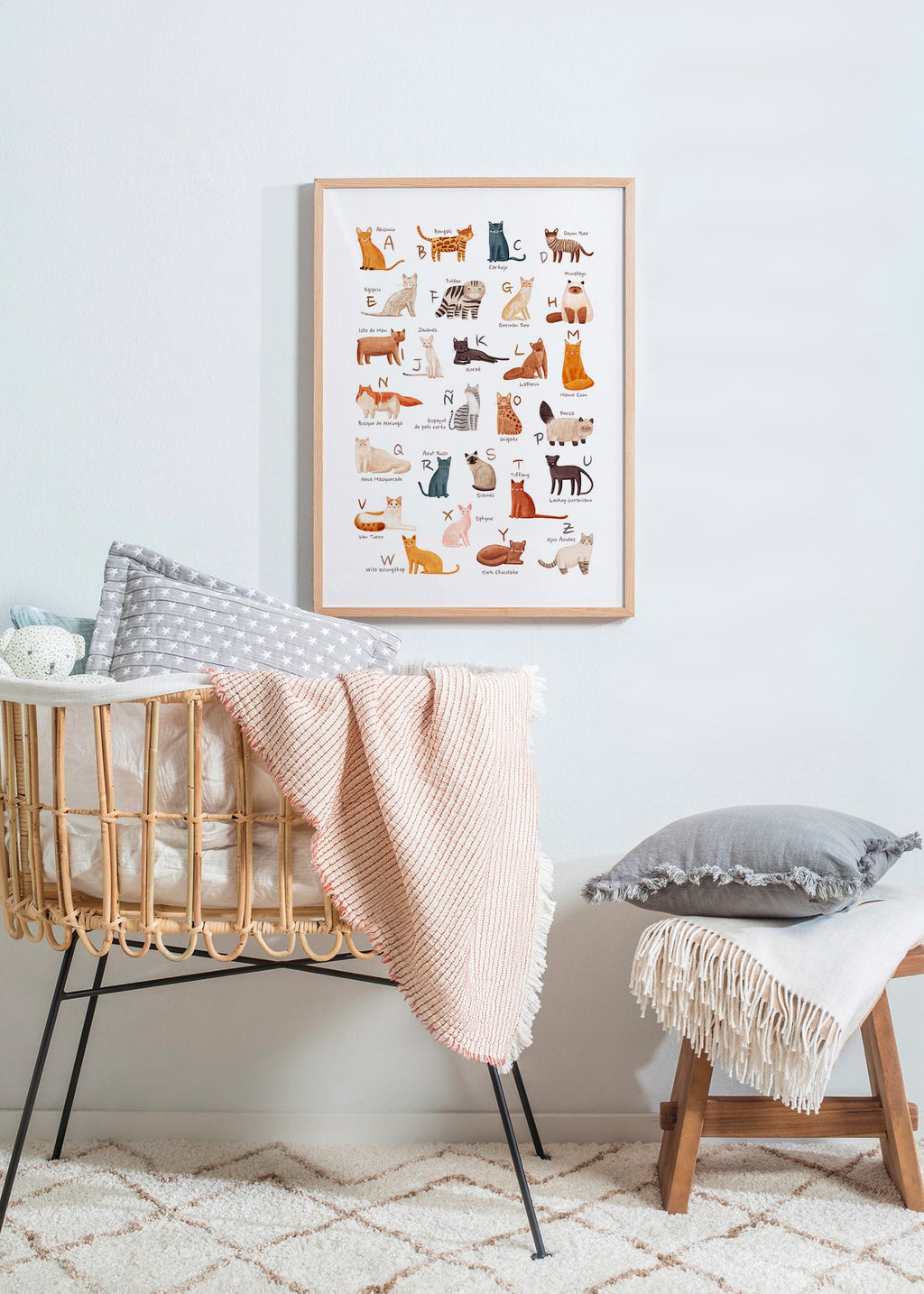Kinderposter Geïllustreerd kattenalfabet