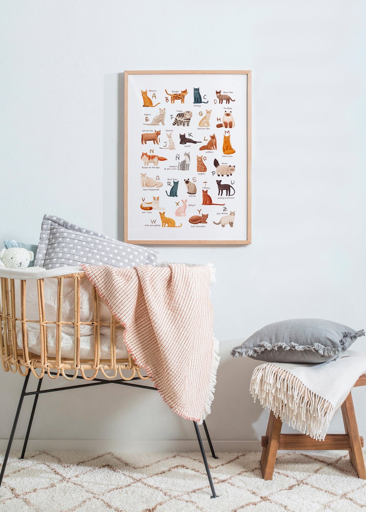 Kinderposter Geïllustreerd kattenalfabet