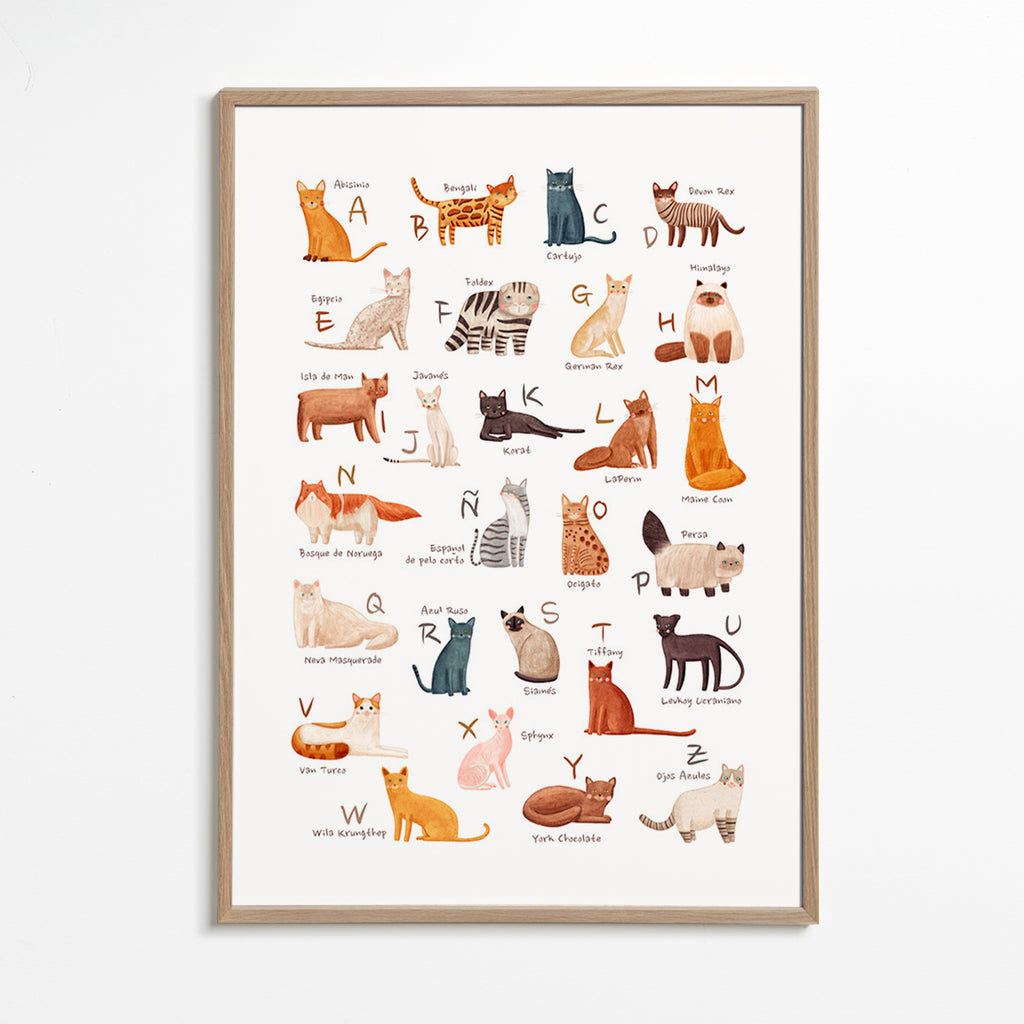 Kinderposter Geïllustreerd kattenalfabet
