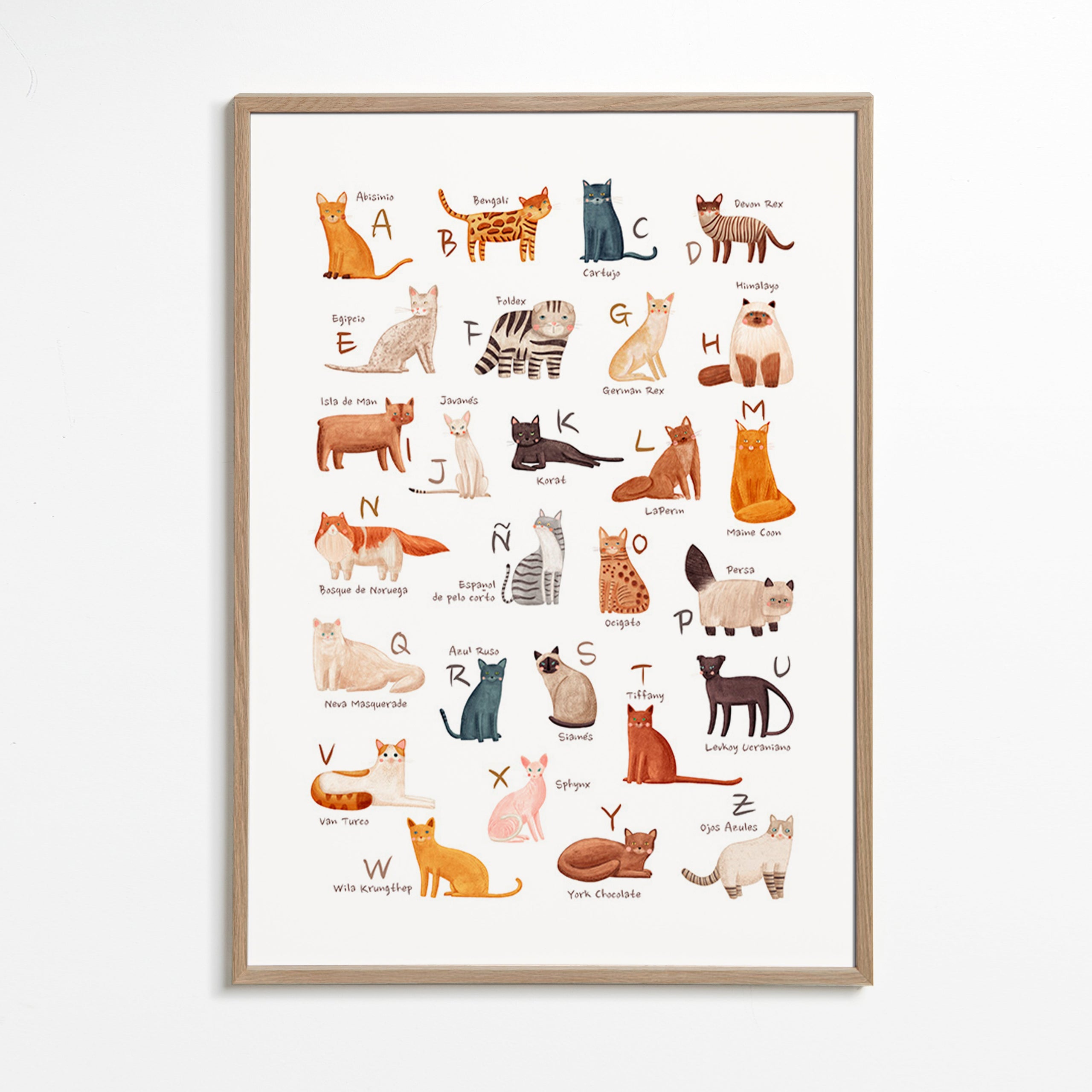 Kinderposter Geïllustreerd kattenalfabet