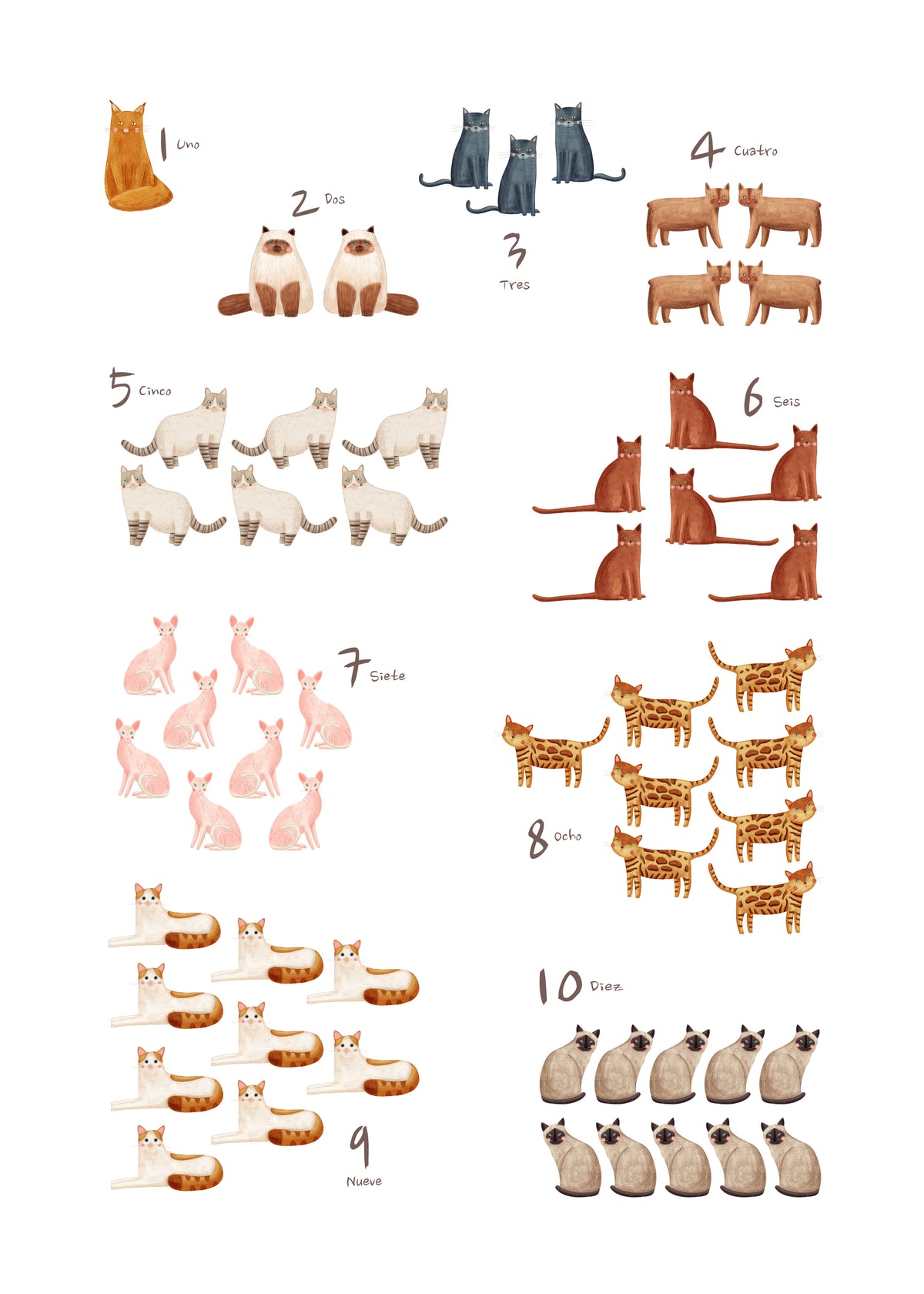 Números de 1 al 10 gatos (español) - Unframed art print