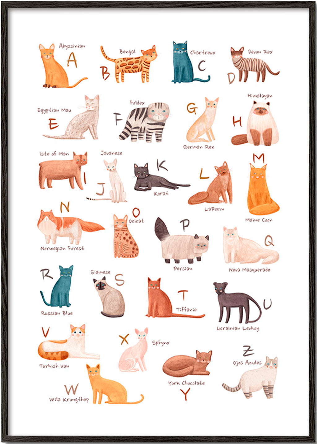 Kinderposter: geïllustreerd kattenalfabet