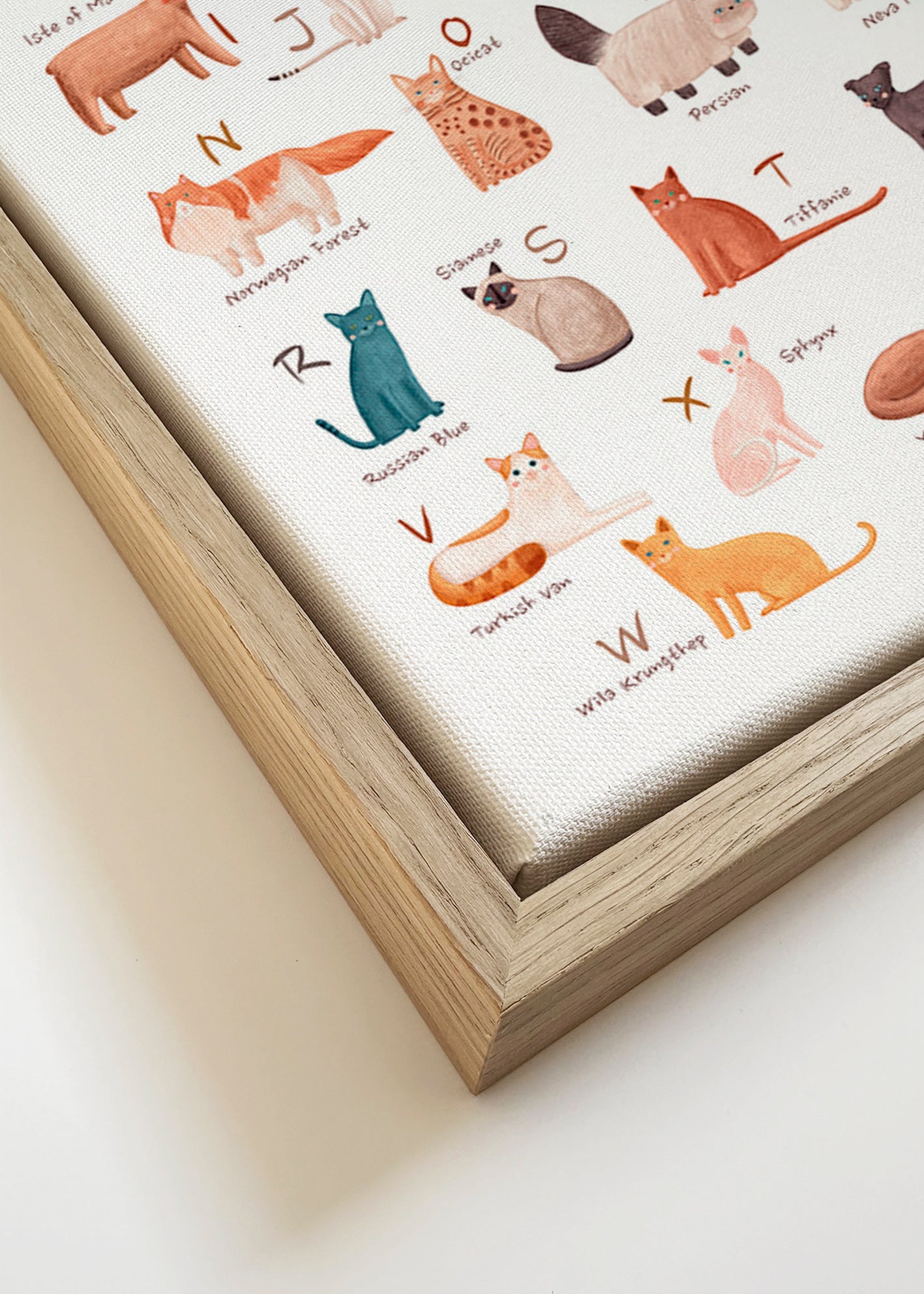 Kinderposter: geïllustreerd kattenalfabet