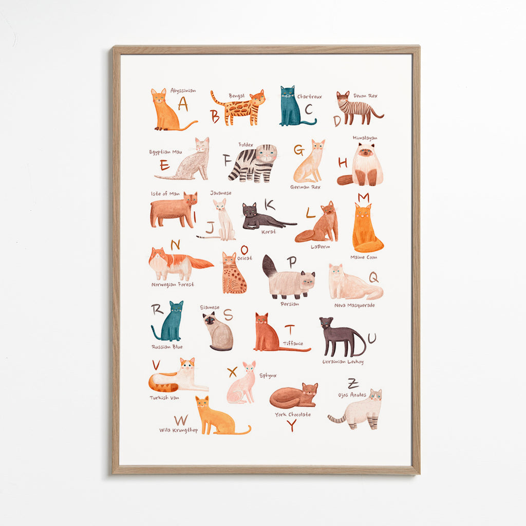 Kinderposter: geïllustreerd kattenalfabet