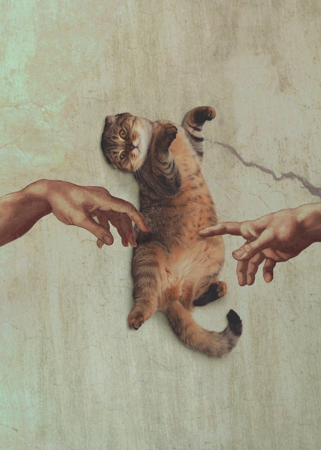 Touch of a Kityy - Unframed art print