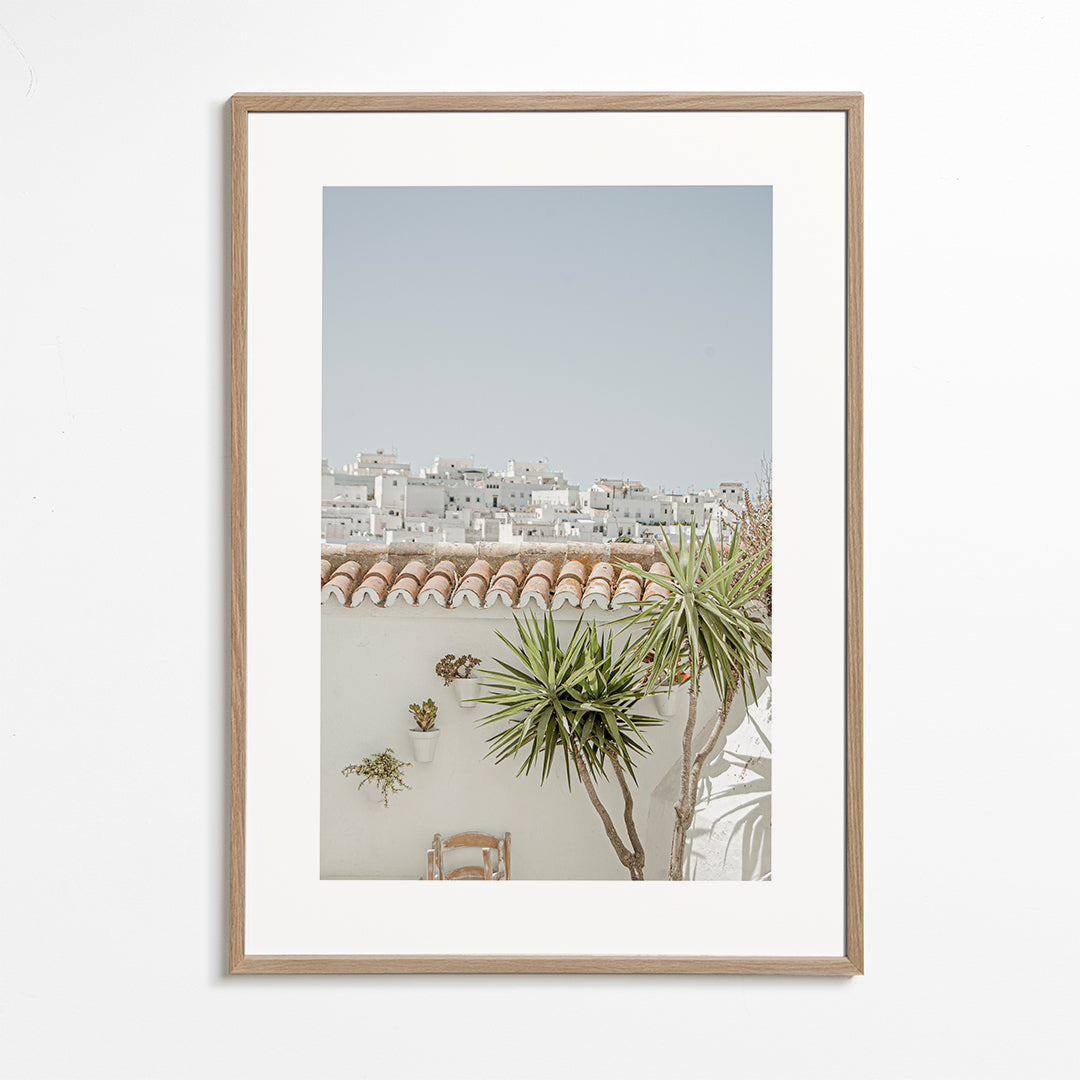 Landschapsposter met witte daken en yucca