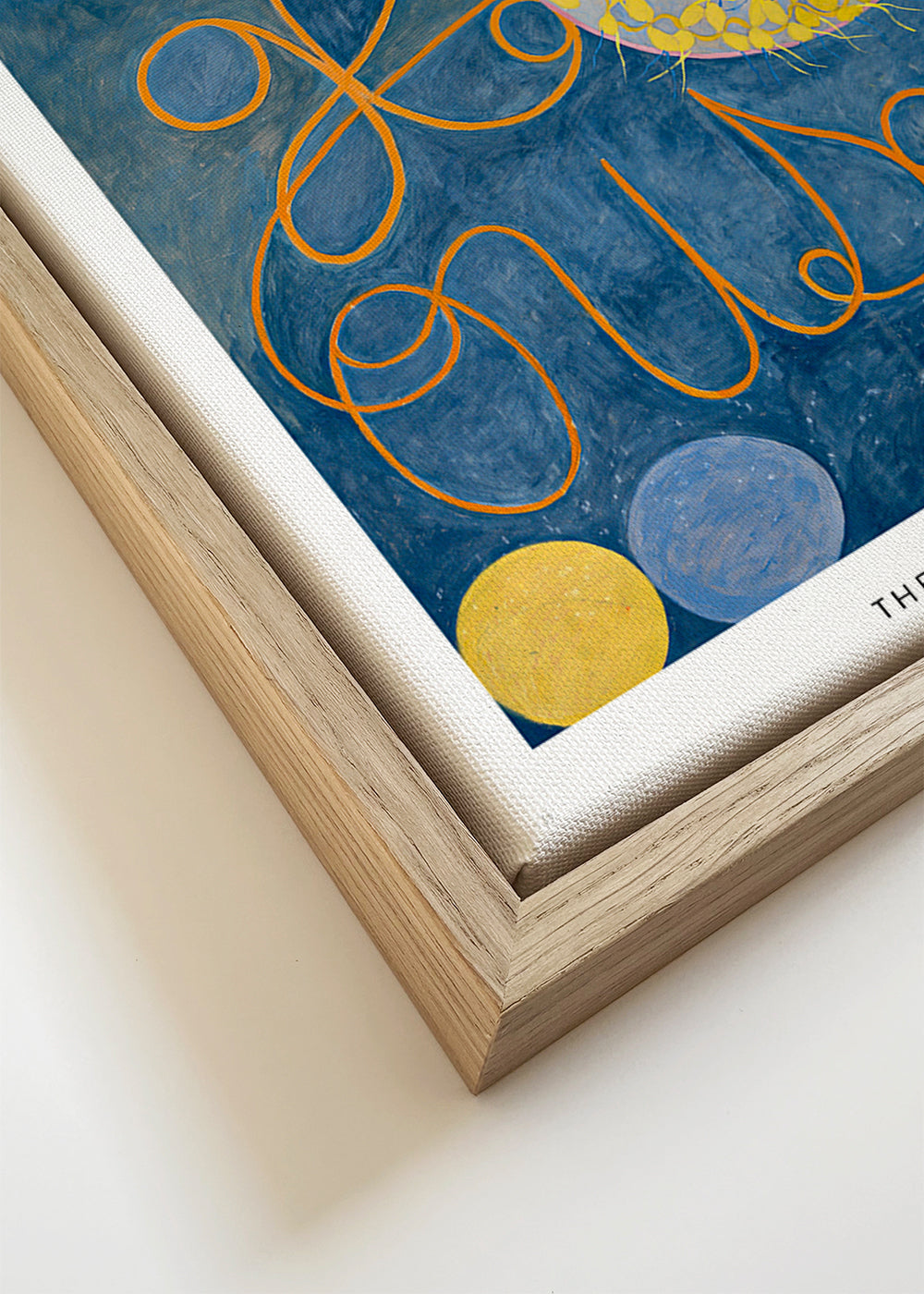 Botanische print met rozen en cirkelmotieven