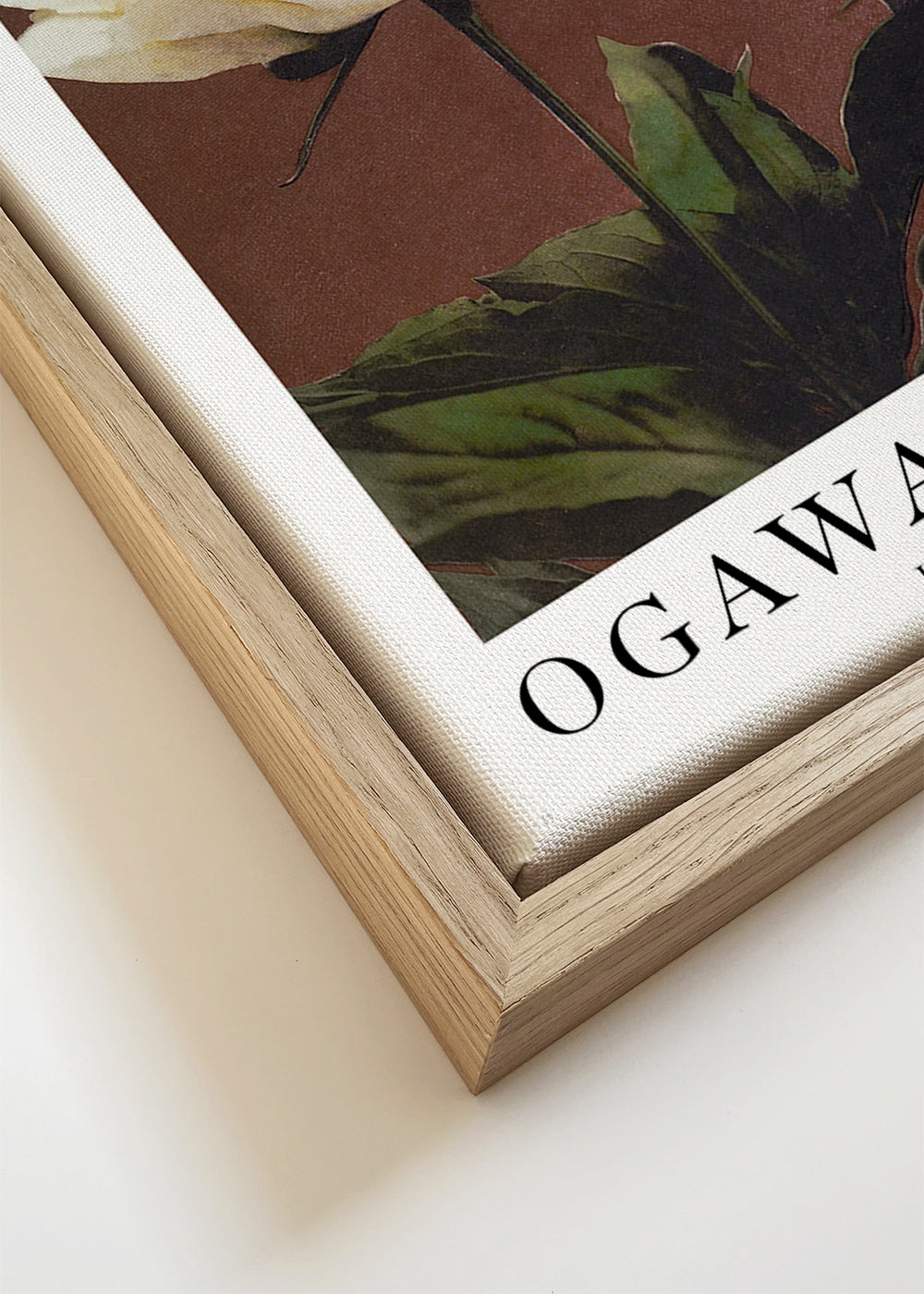 Botanische poster witte pioenroos