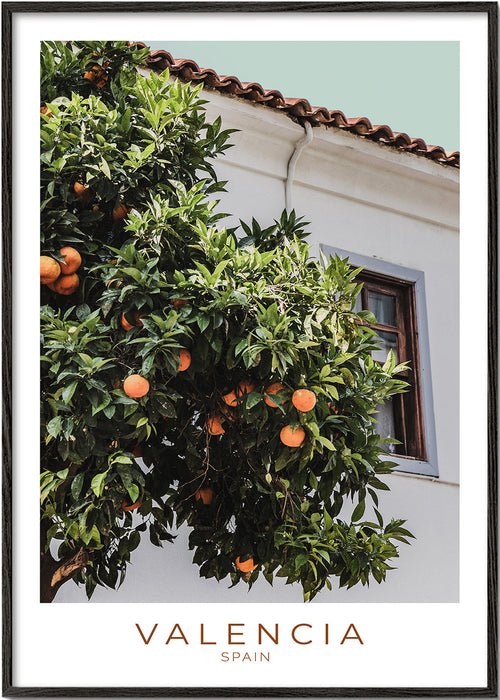 Stadskunst Valencia met sinaasappelboom en gevel