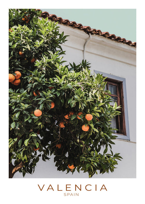 Stadskunst Valencia met sinaasappelboom en gevel