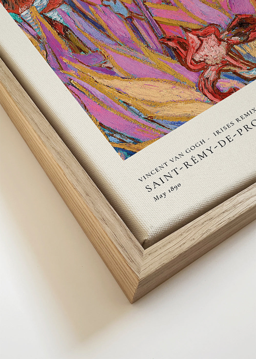 Botanische poster: Kleurrijke irissen