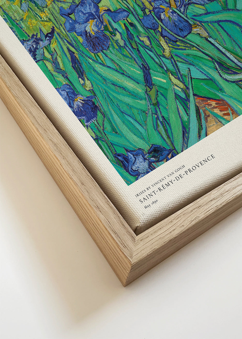 Botanische poster met blauwe irissen