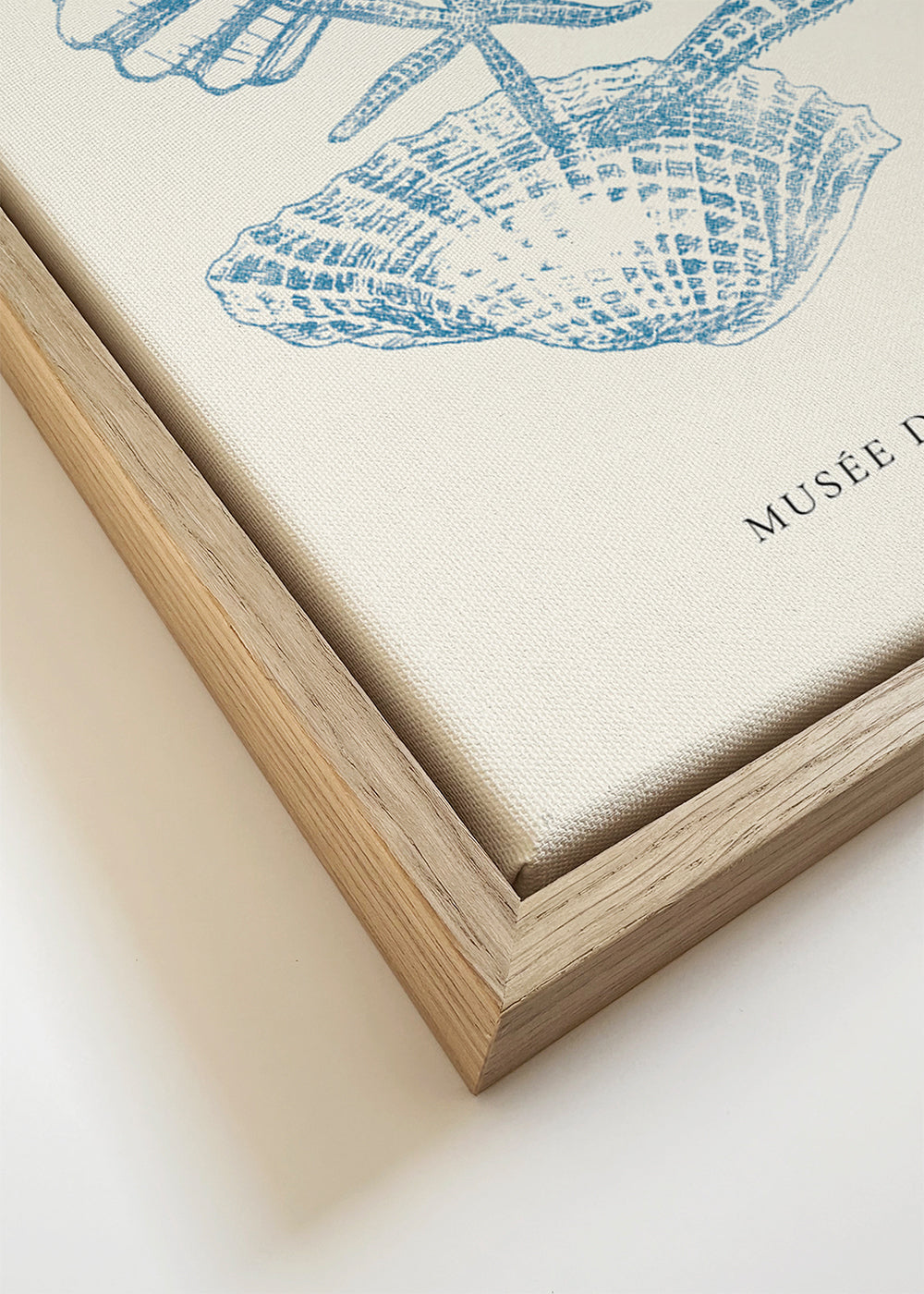 Linosnede schelpenillustratie in blauw