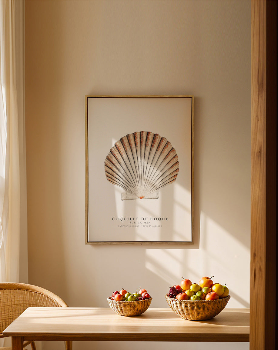 Seashell (coquille de coque) - Sealife Collection - Framed canvas in an interior