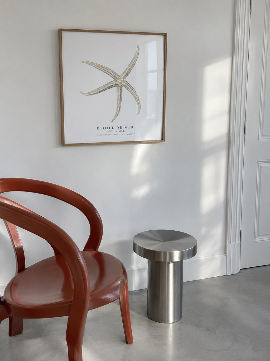 Starfish (Étoile de mer) II - Sealife Collection - SQUARE - Framed poster in an interior