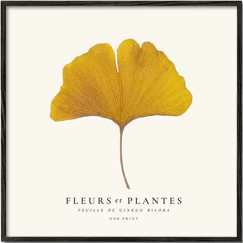 Botanische print ginkgo blad studie