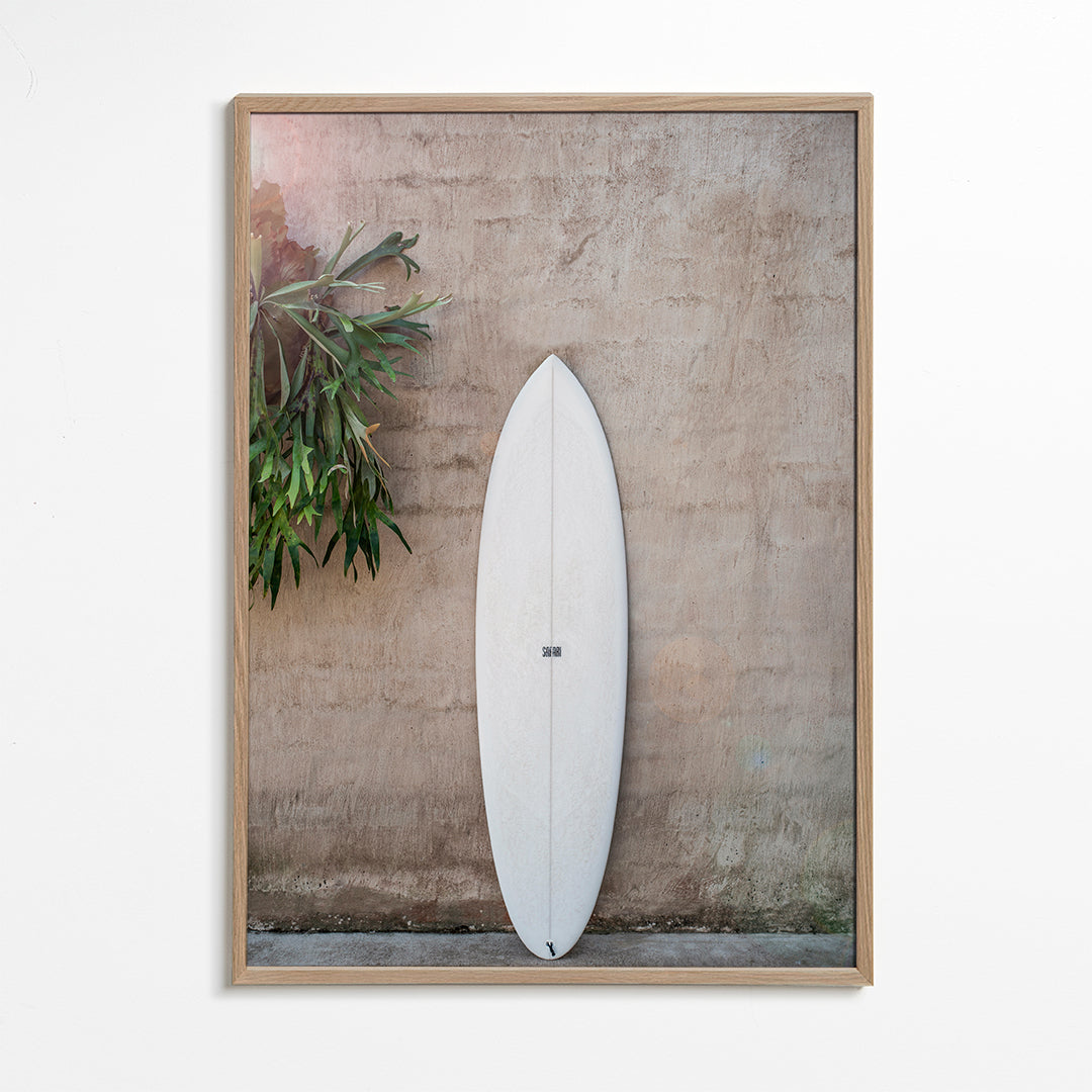 Safari Twinfin