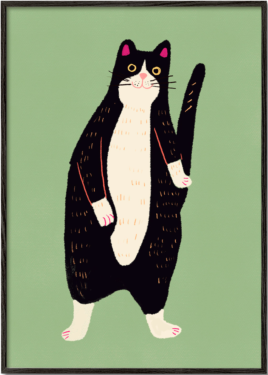 Black and white cat 02
