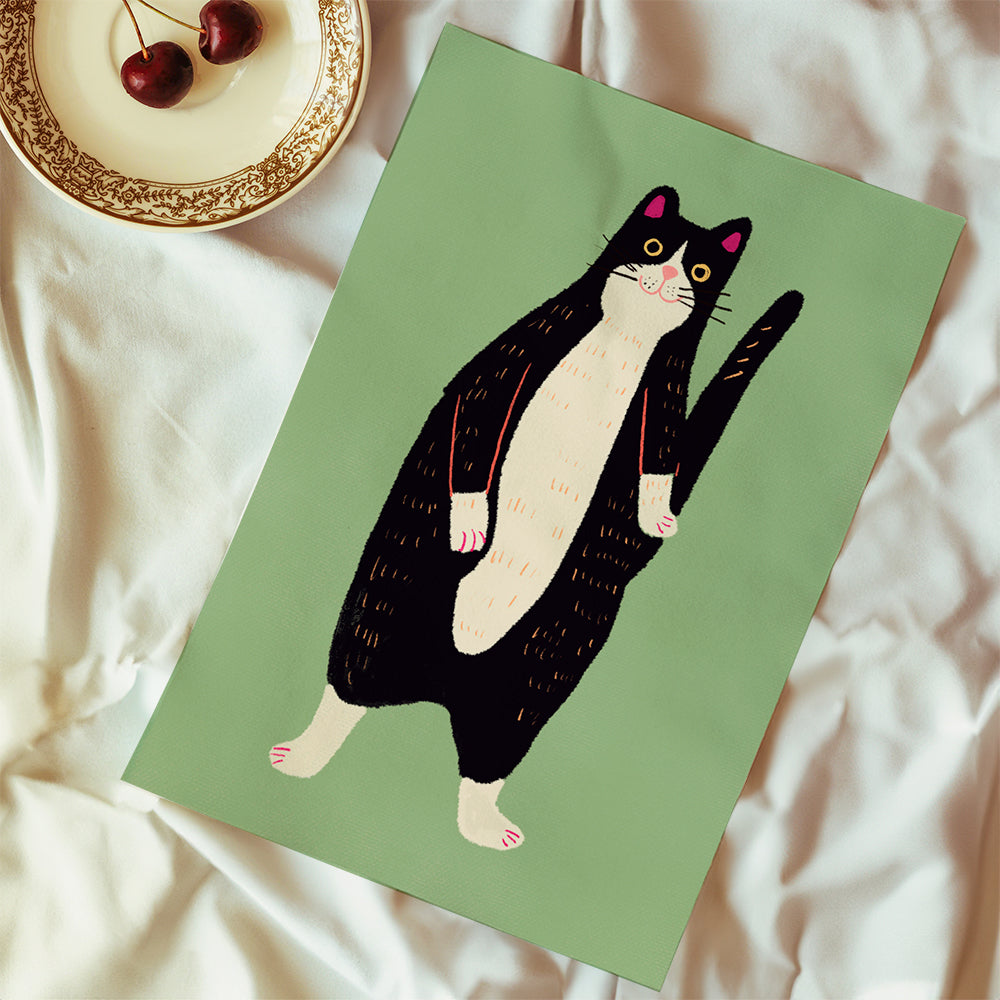 Black and white cat 02