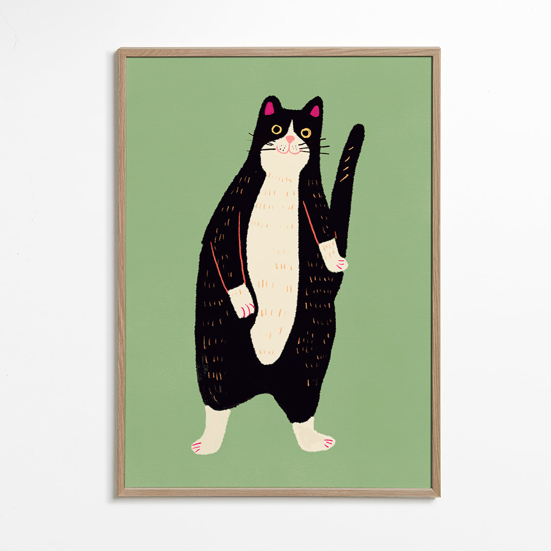 Black and white cat 02