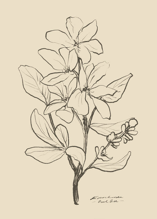 Botanische print — lijntekening bloem