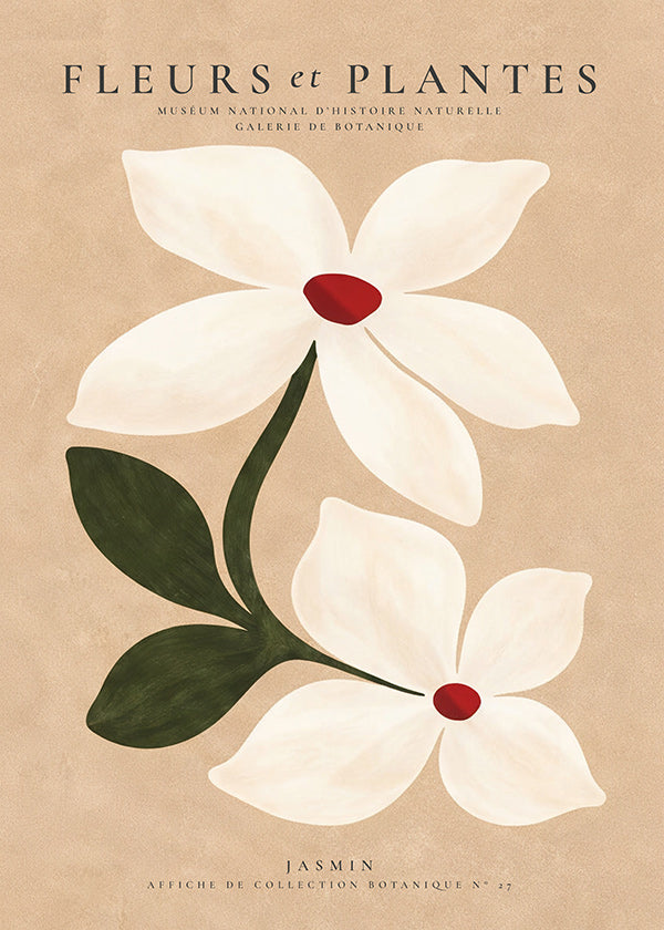 Botanische print jasmijn op beige achtergrond
