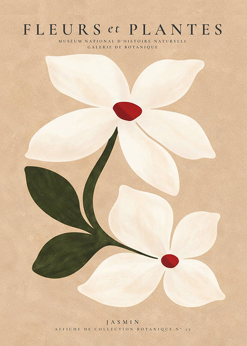 Botanische print jasmijn op beige achtergrond