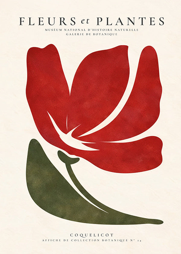 Botanische print met gestileerde rode klaproos