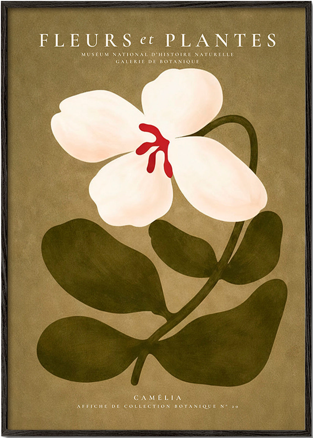 Botanische poster: witte kamelia op olijfgroene achtergrond