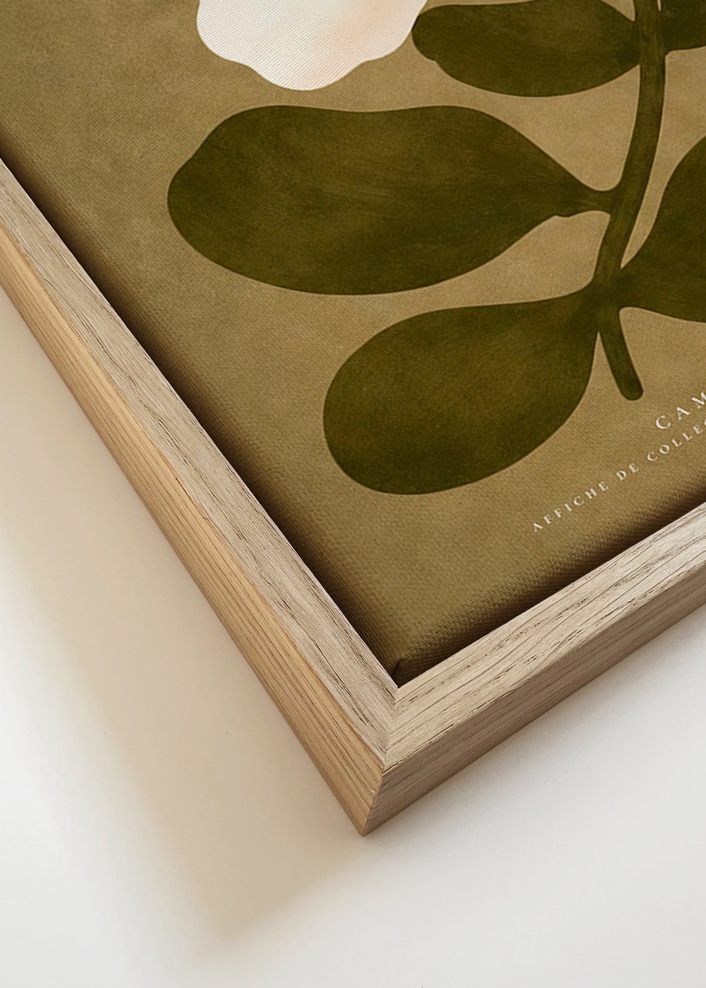 Botanische poster: witte kamelia op olijfgroene achtergrond