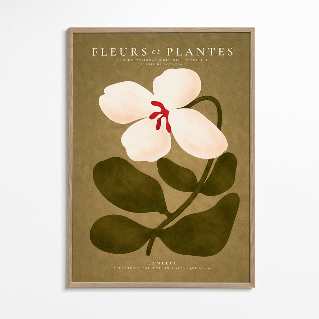 Botanische poster: witte kamelia op olijfgroene achtergrond