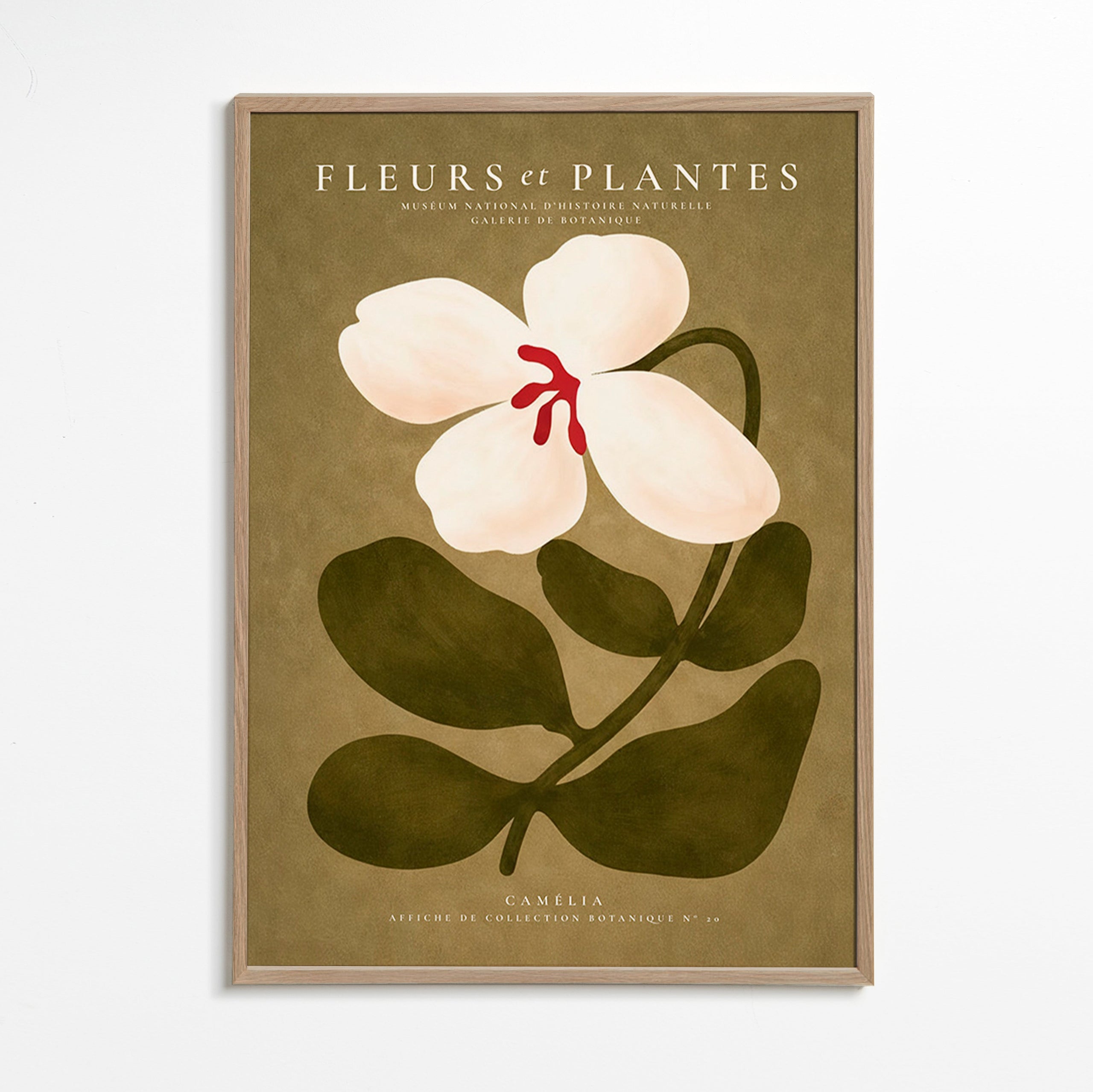 Botanische poster: witte kamelia op olijfgroene achtergrond