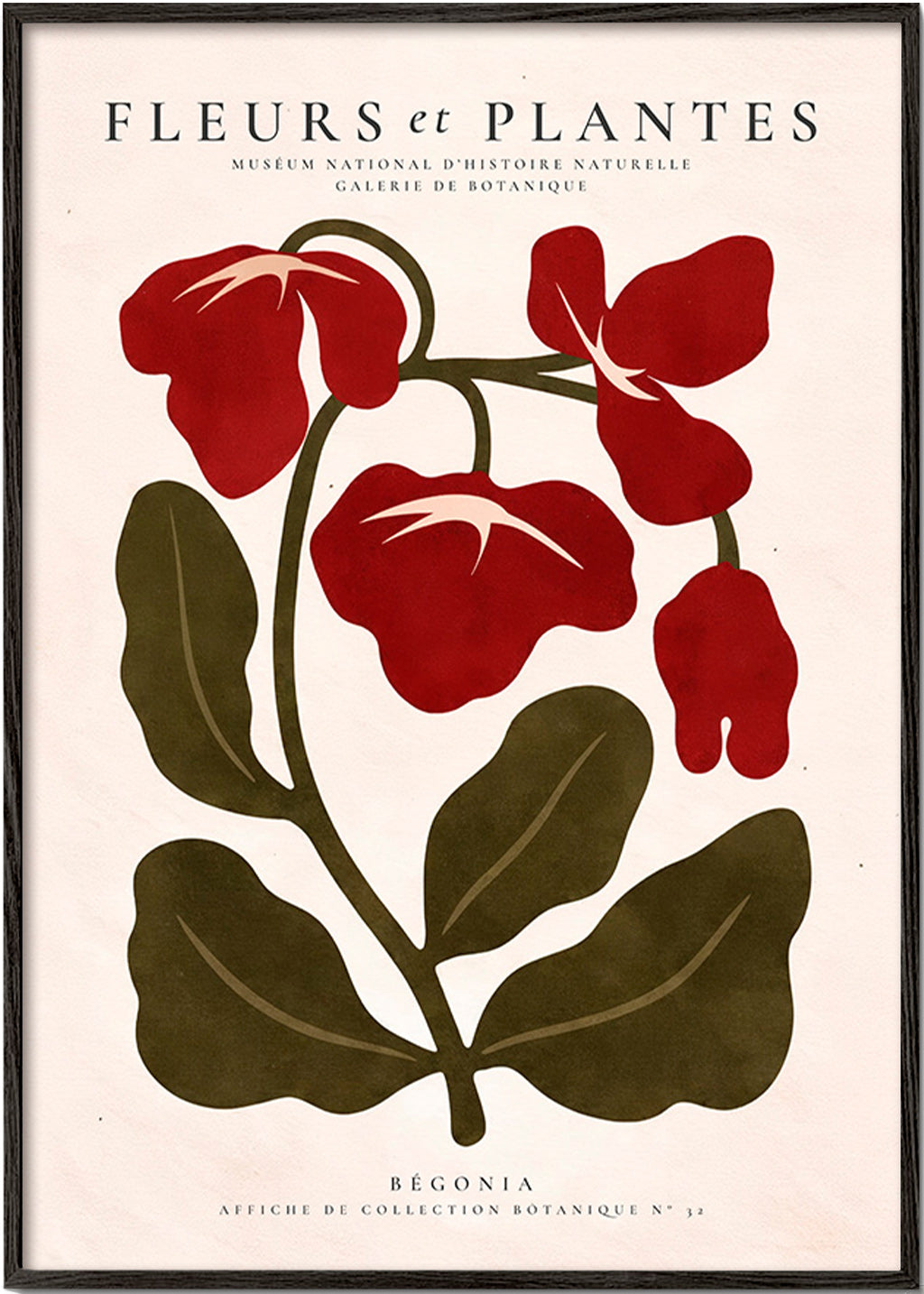 Botanische print: Rode begonia illustratie