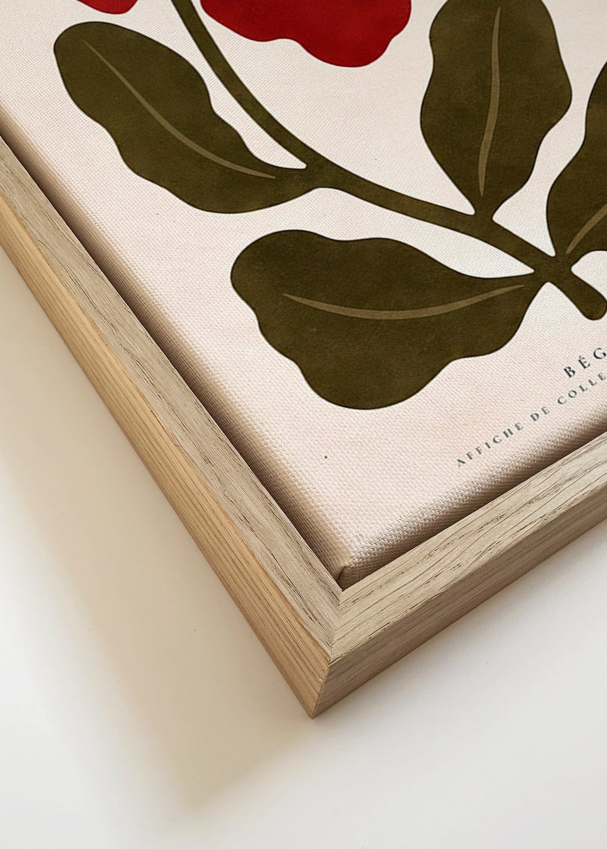 Botanische print: Rode begonia illustratie