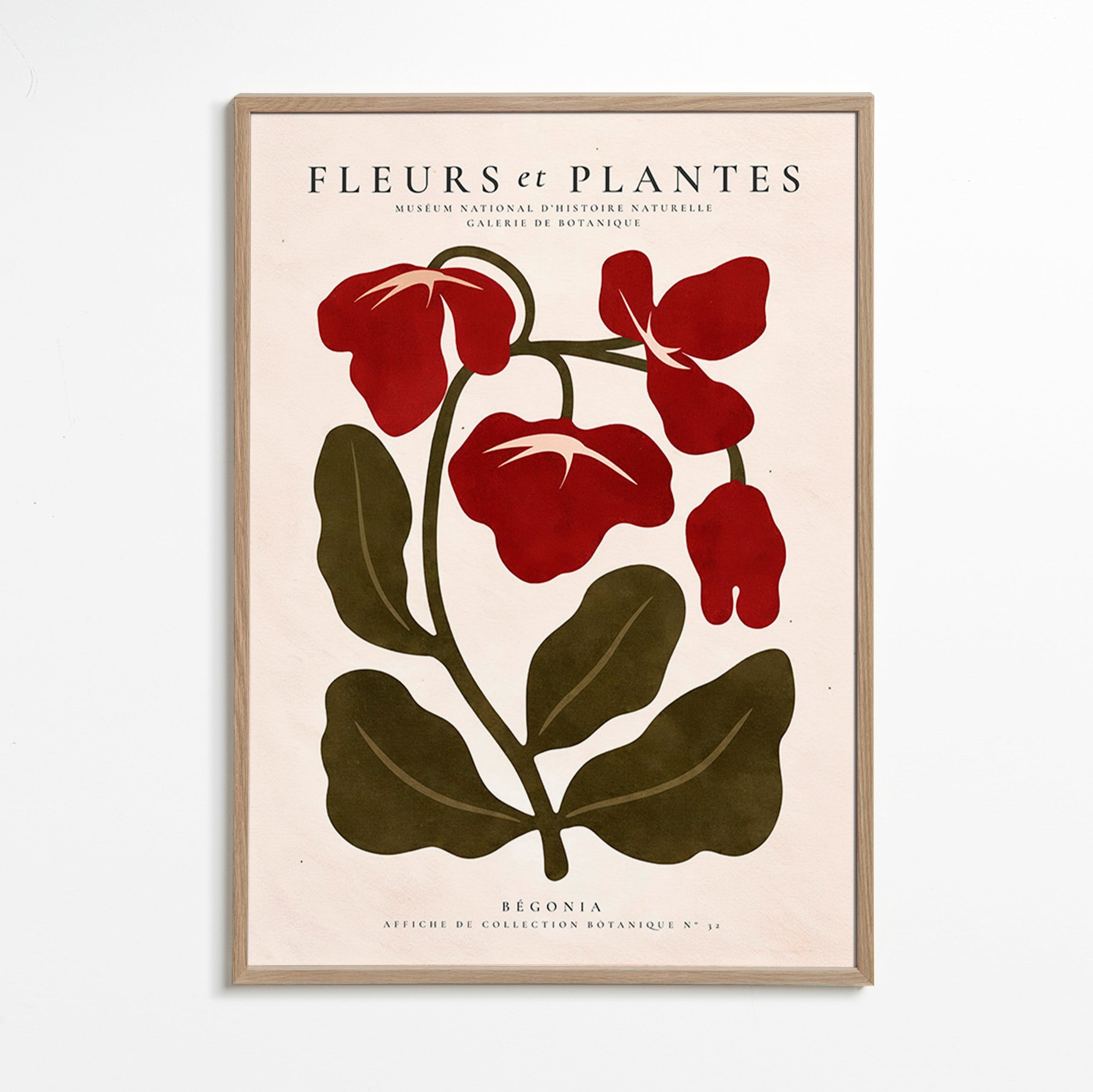 Botanische print: Rode begonia illustratie