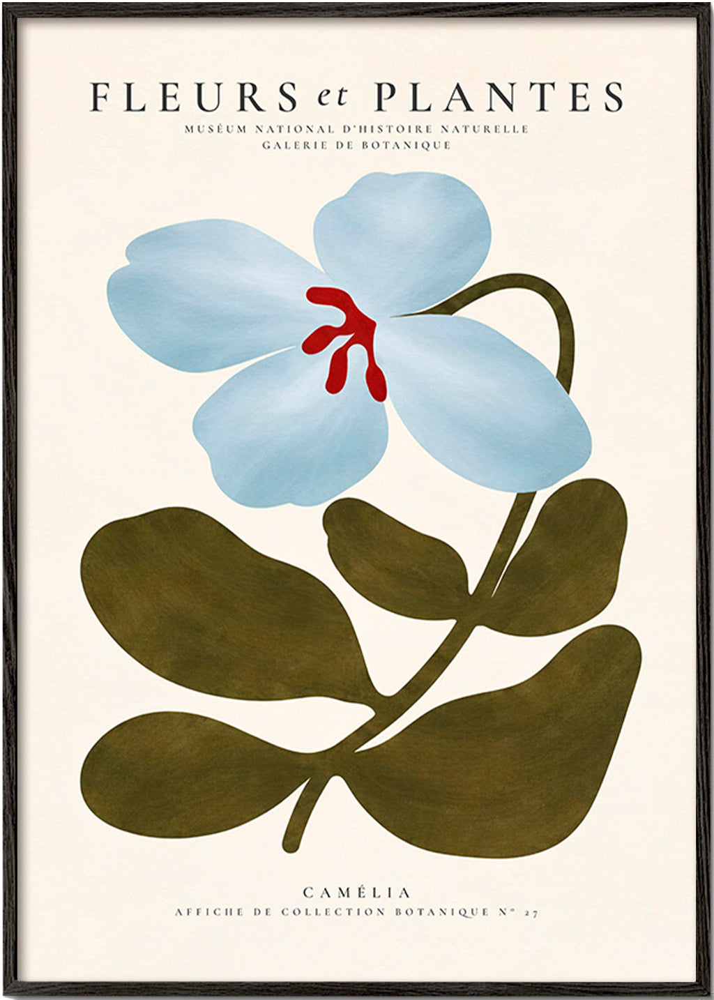 Botanische poster Blauwe camelia