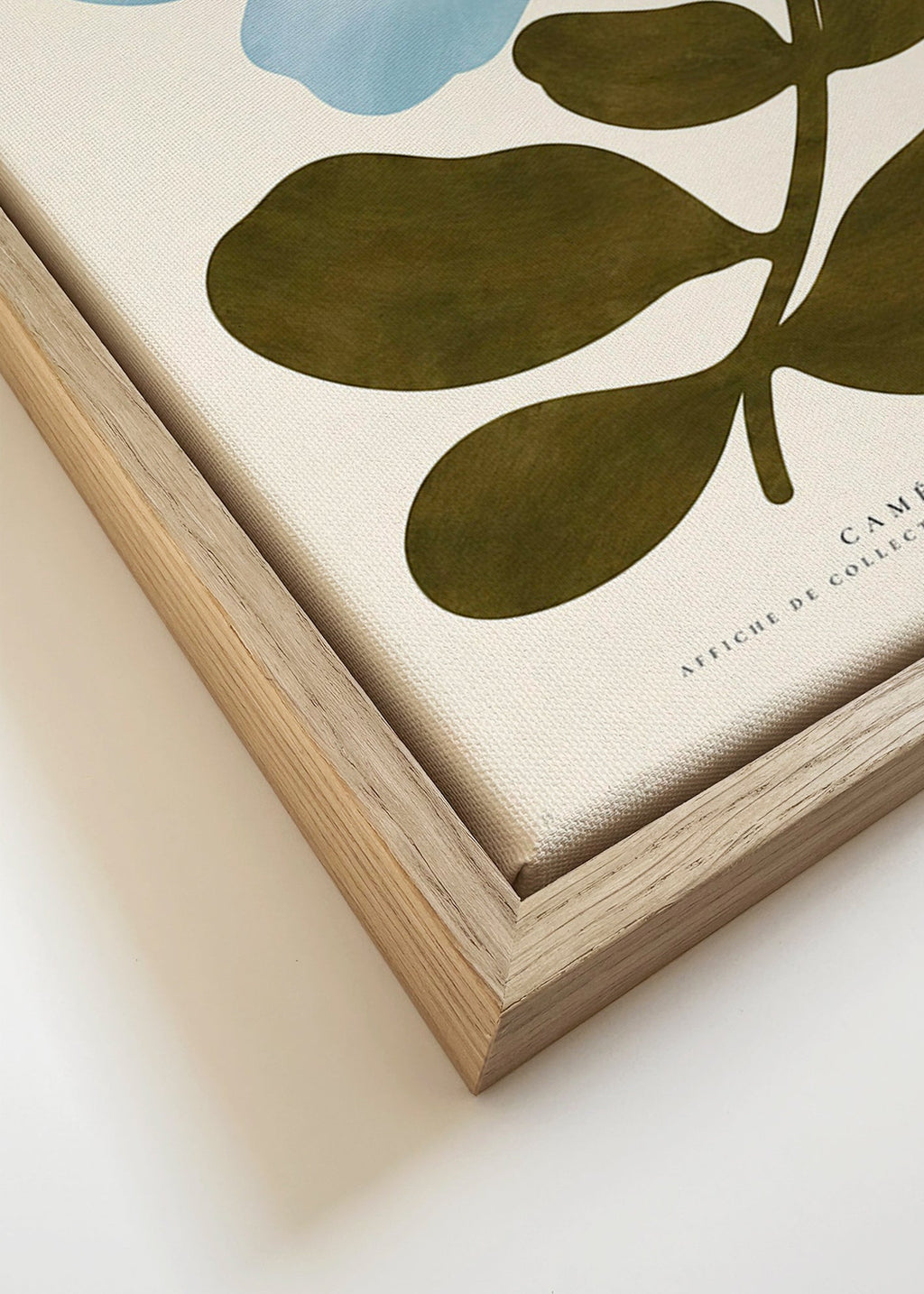 Botanische poster Blauwe camelia