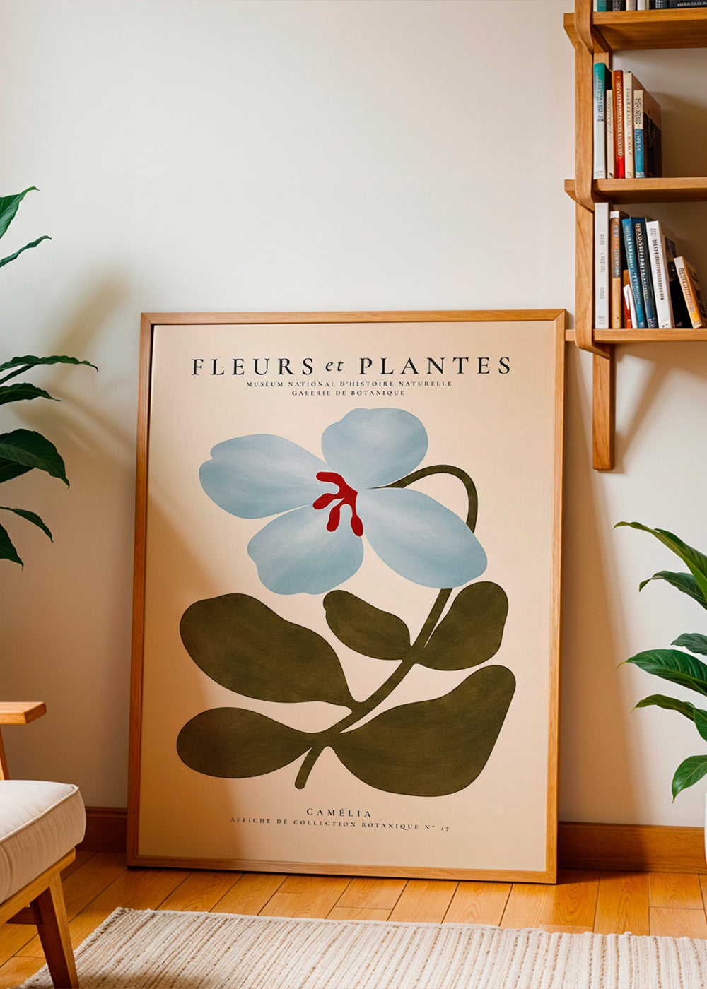 Botanische poster Blauwe camelia