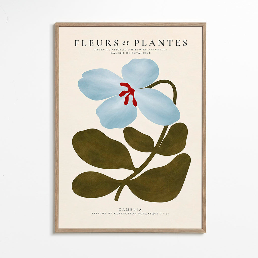 Botanische poster Blauwe camelia