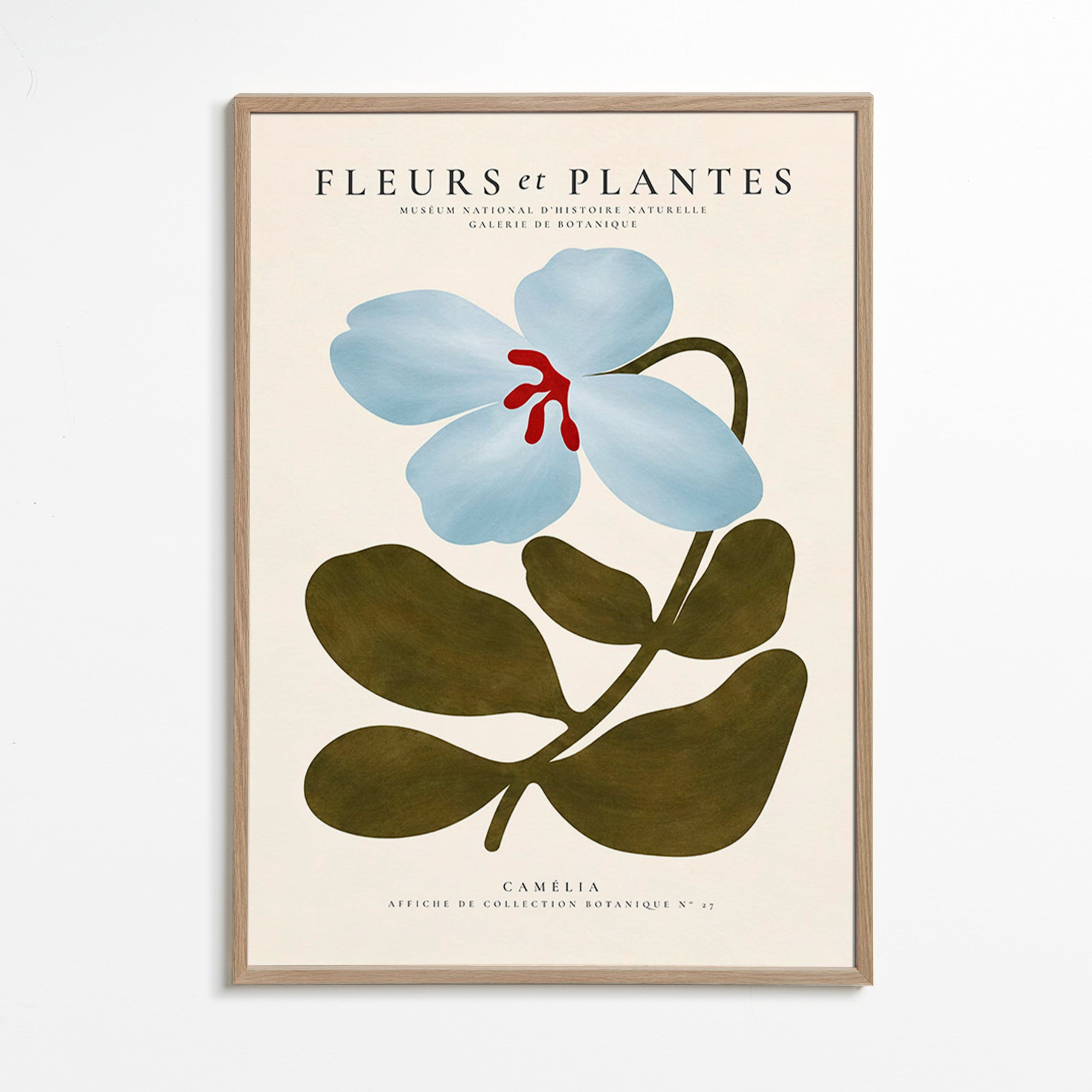 Botanische poster Blauwe camelia