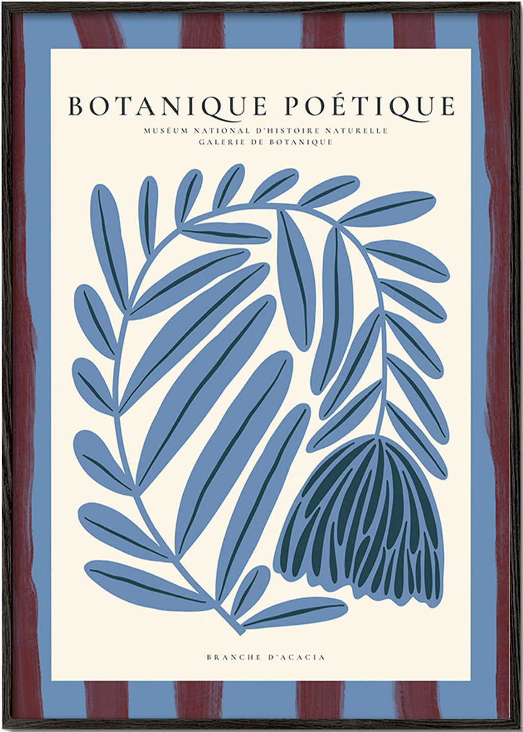 Botanische poster: gestileerde blauwe acacia