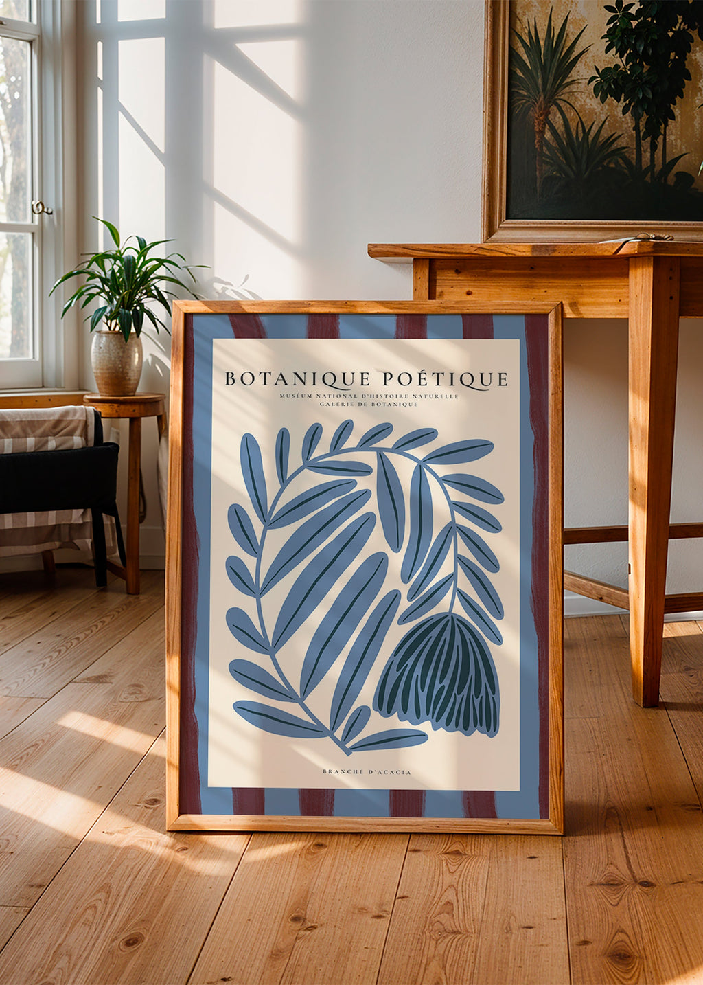 Botanische poster: gestileerde blauwe acacia
