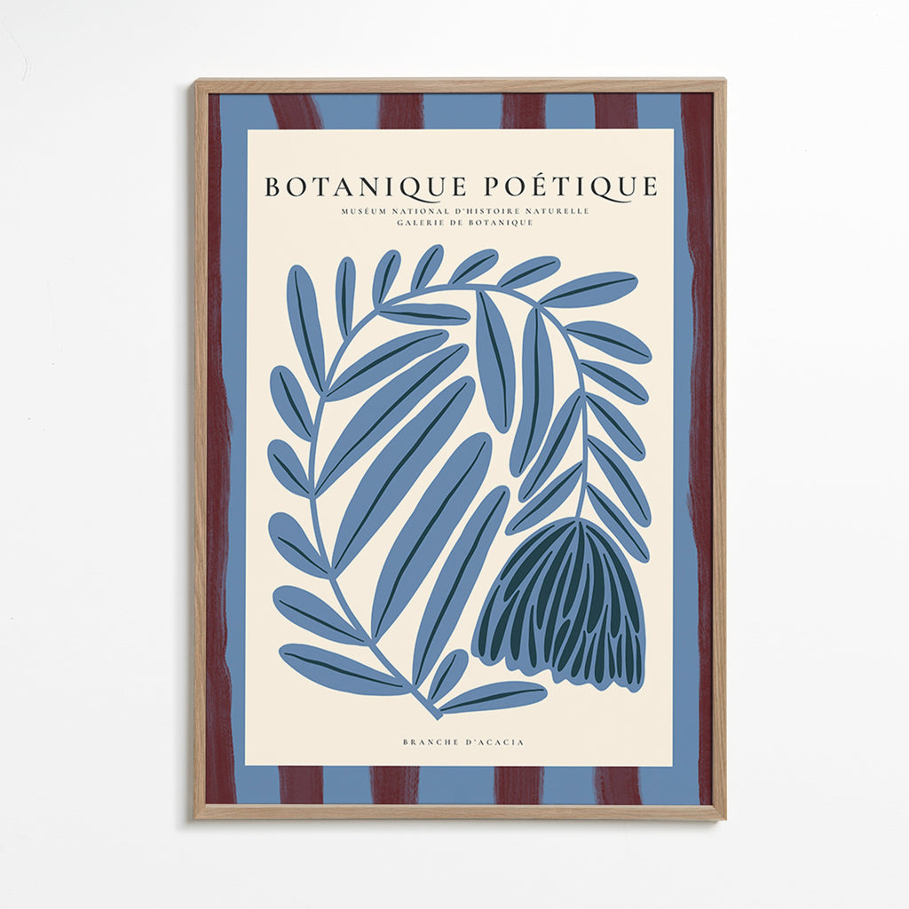 Botanische poster: gestileerde blauwe acacia