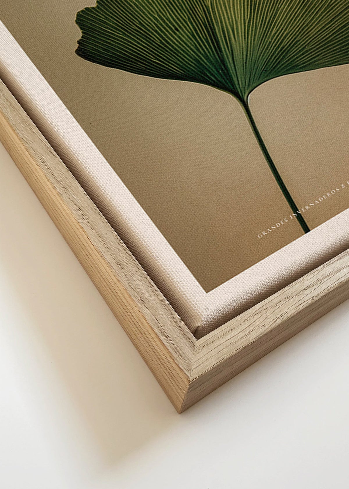 Botanische print met ginkgo blad en klassieke typografie
