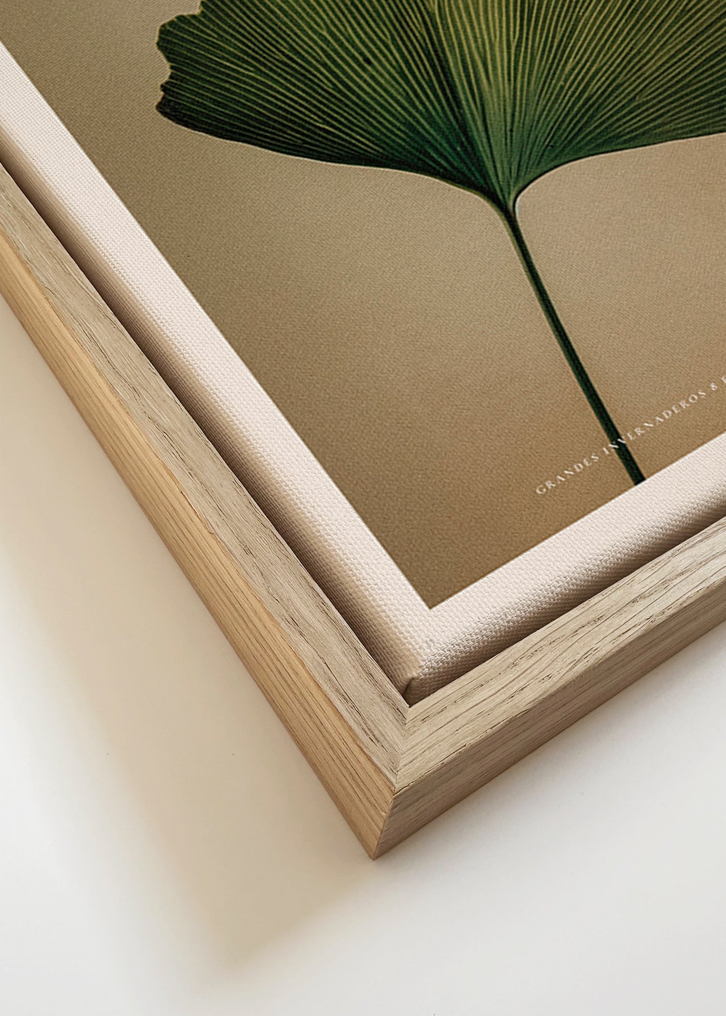 Botanische print met ginkgo blad en klassieke typografie
