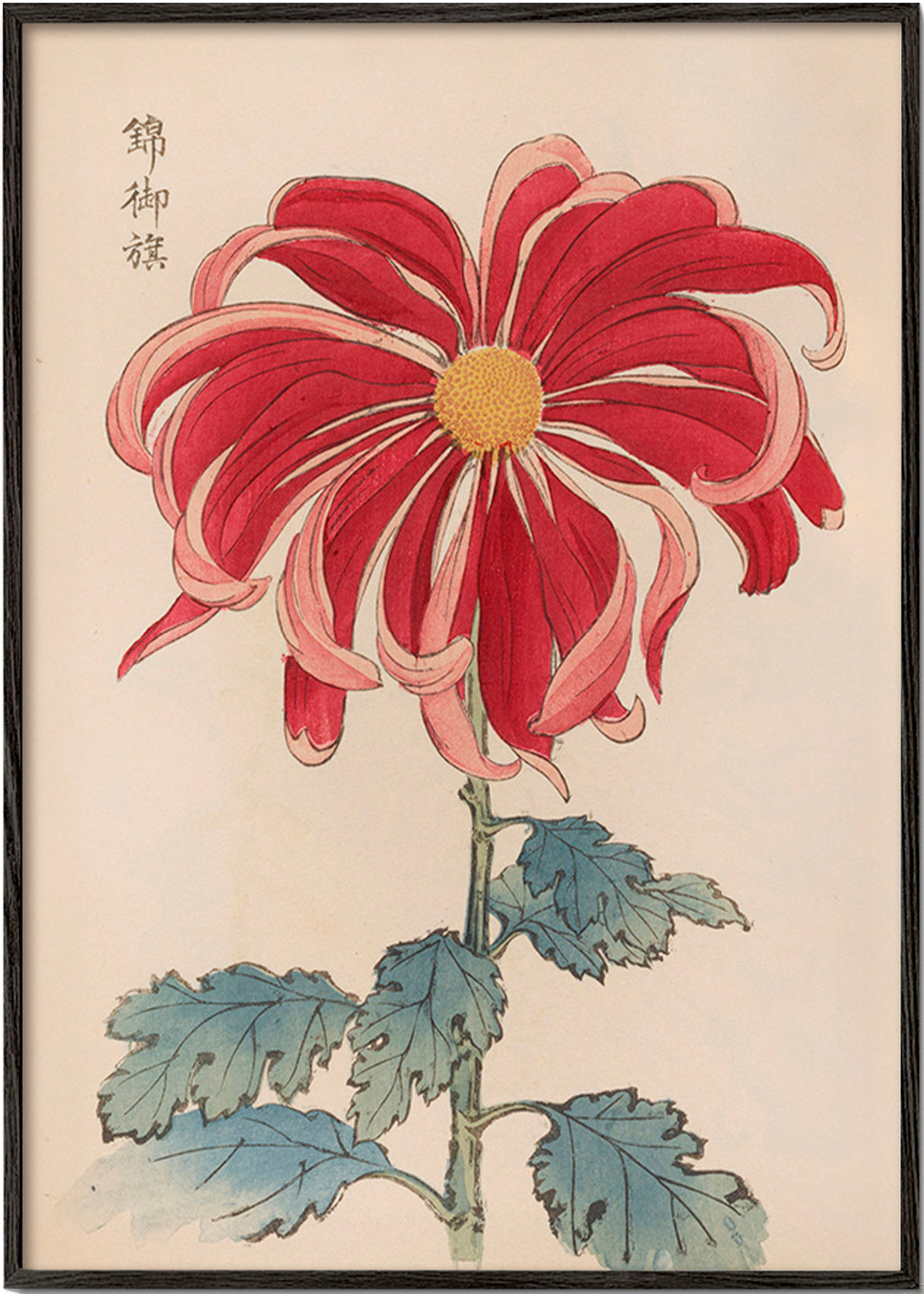 Botanische print Japanse chrysant rood