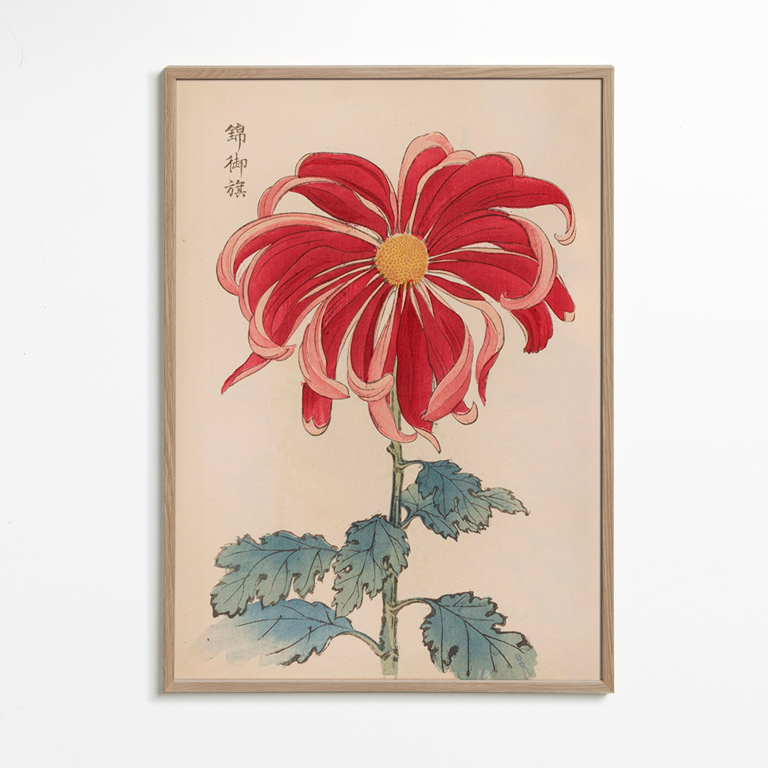 Botanische print Japanse chrysant rood