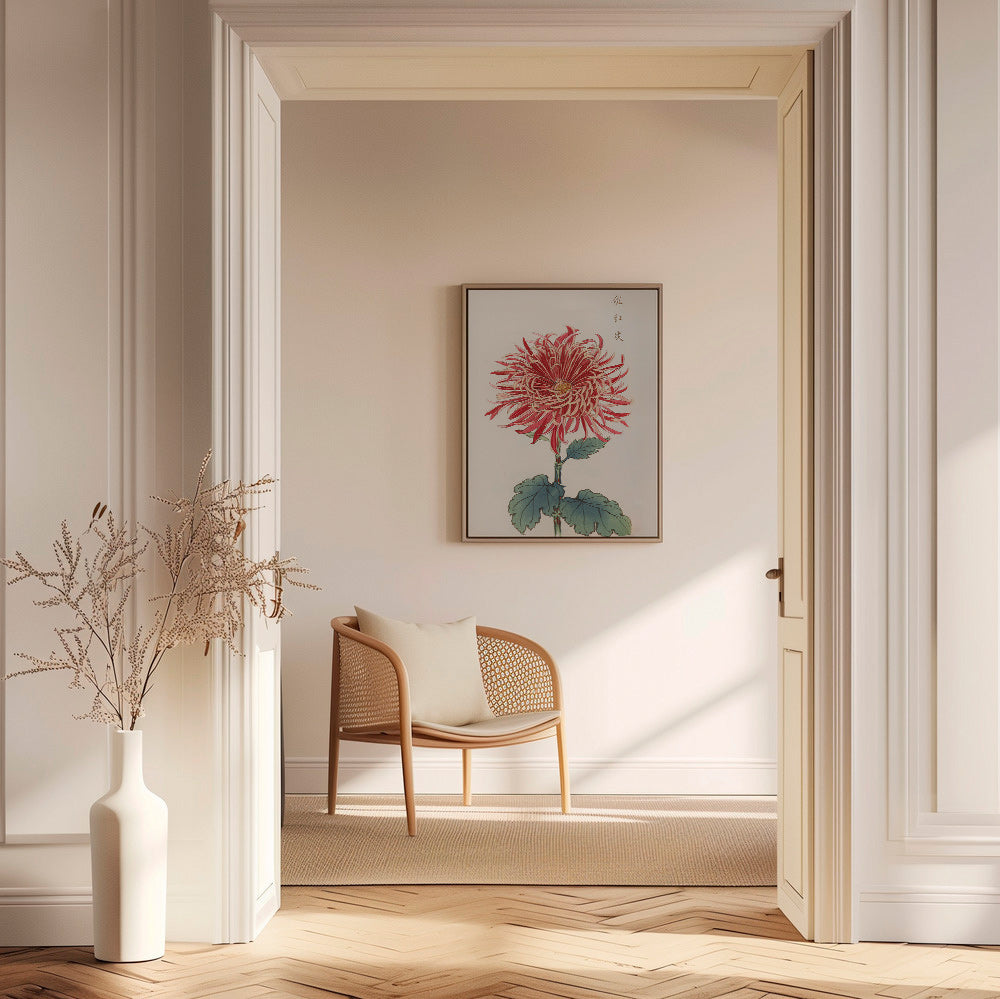 Botanische poster rode chrysantemum met detail